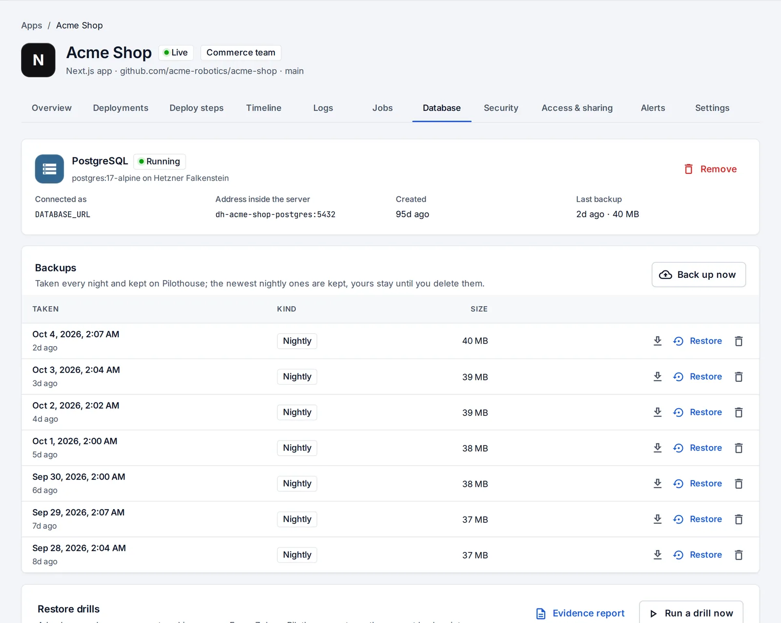 An app's database: PostgreSQL with nightly backups, restore drills and preview data with personal data masked.